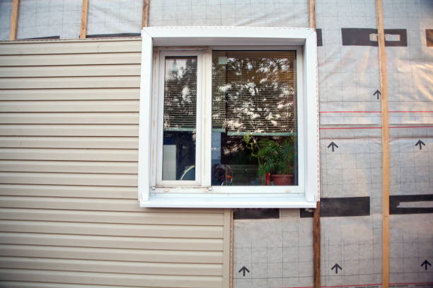 Best Custom Trim and Detailing for Siding  in Waveland, MS
